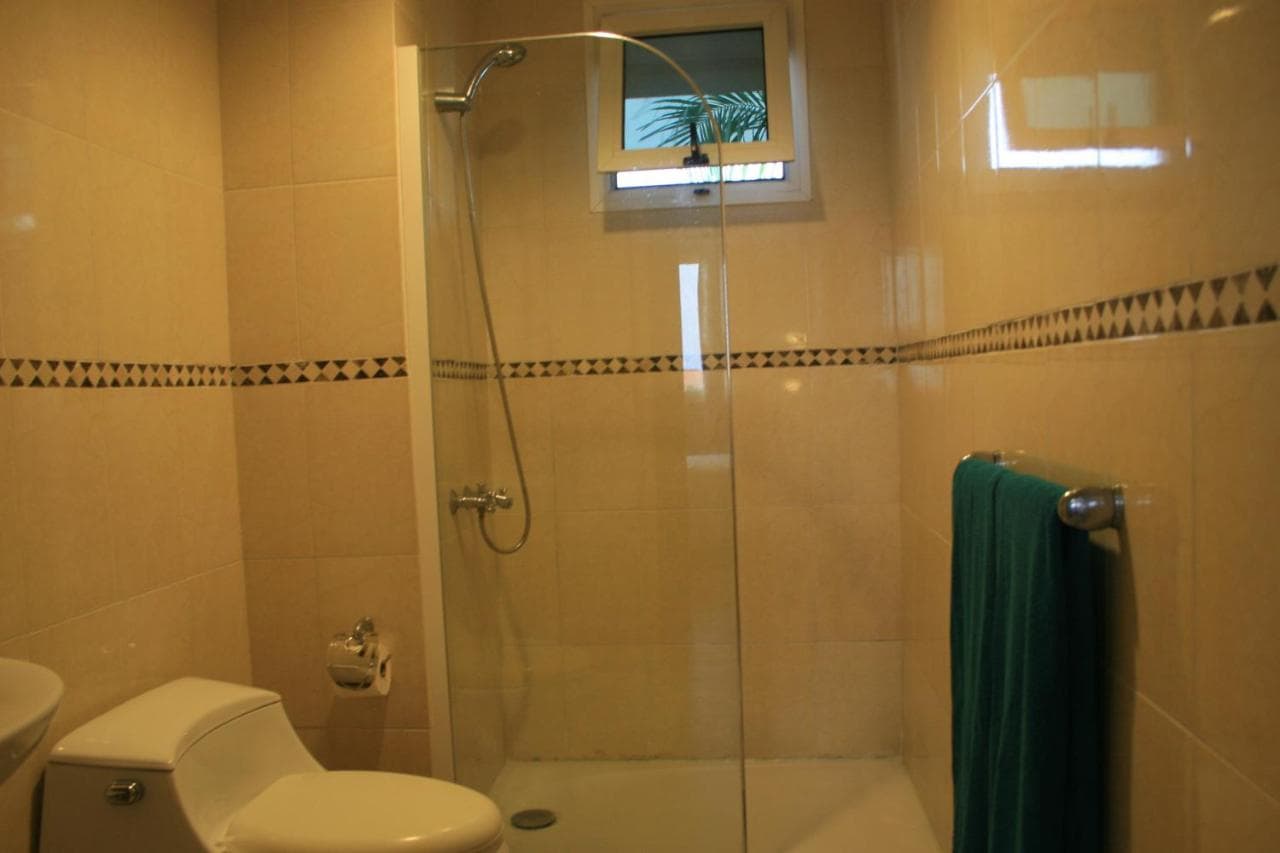 Bavaro Green - image 4
