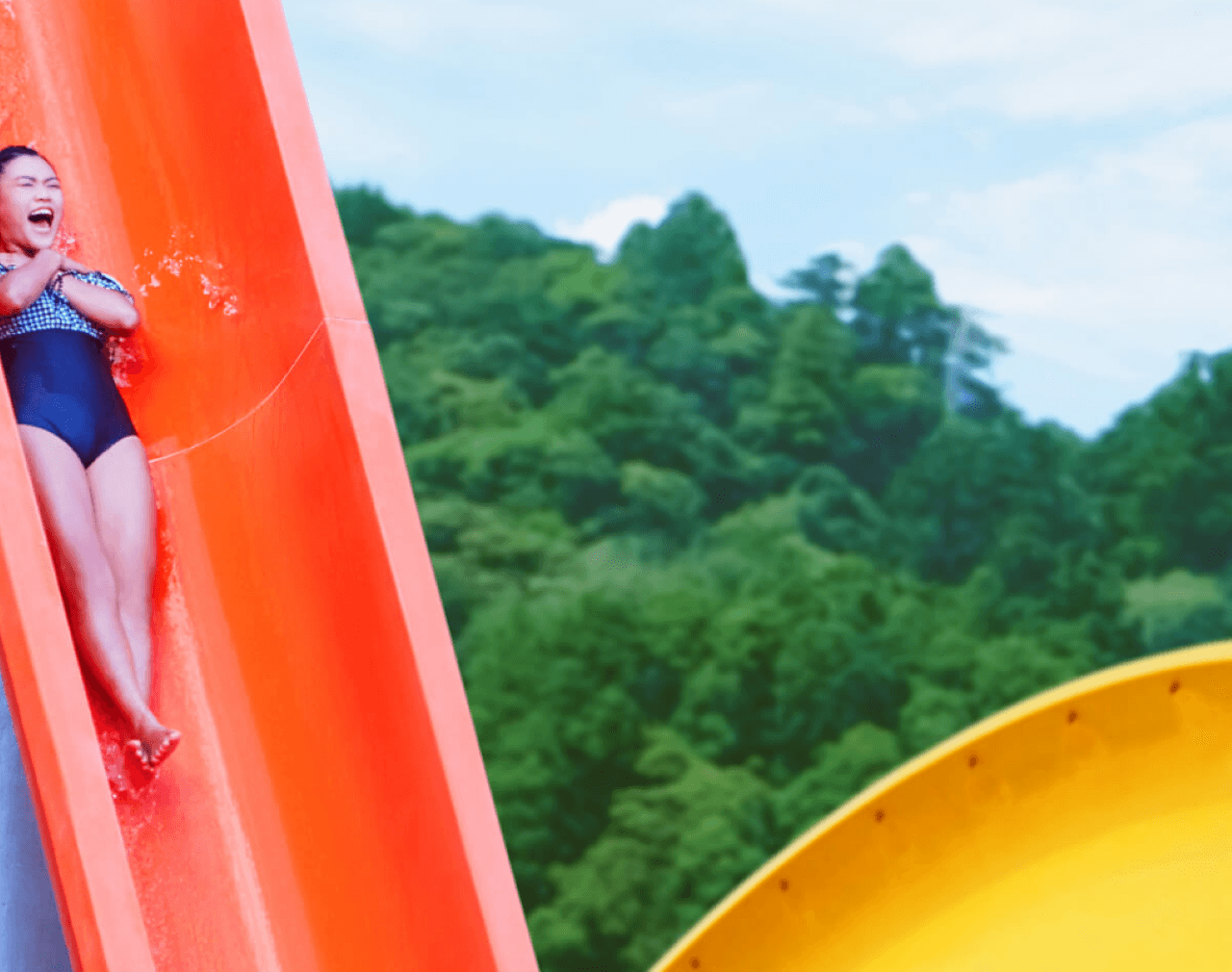 Entrada para Water World Ocean Park Hong Kong - imagen 4