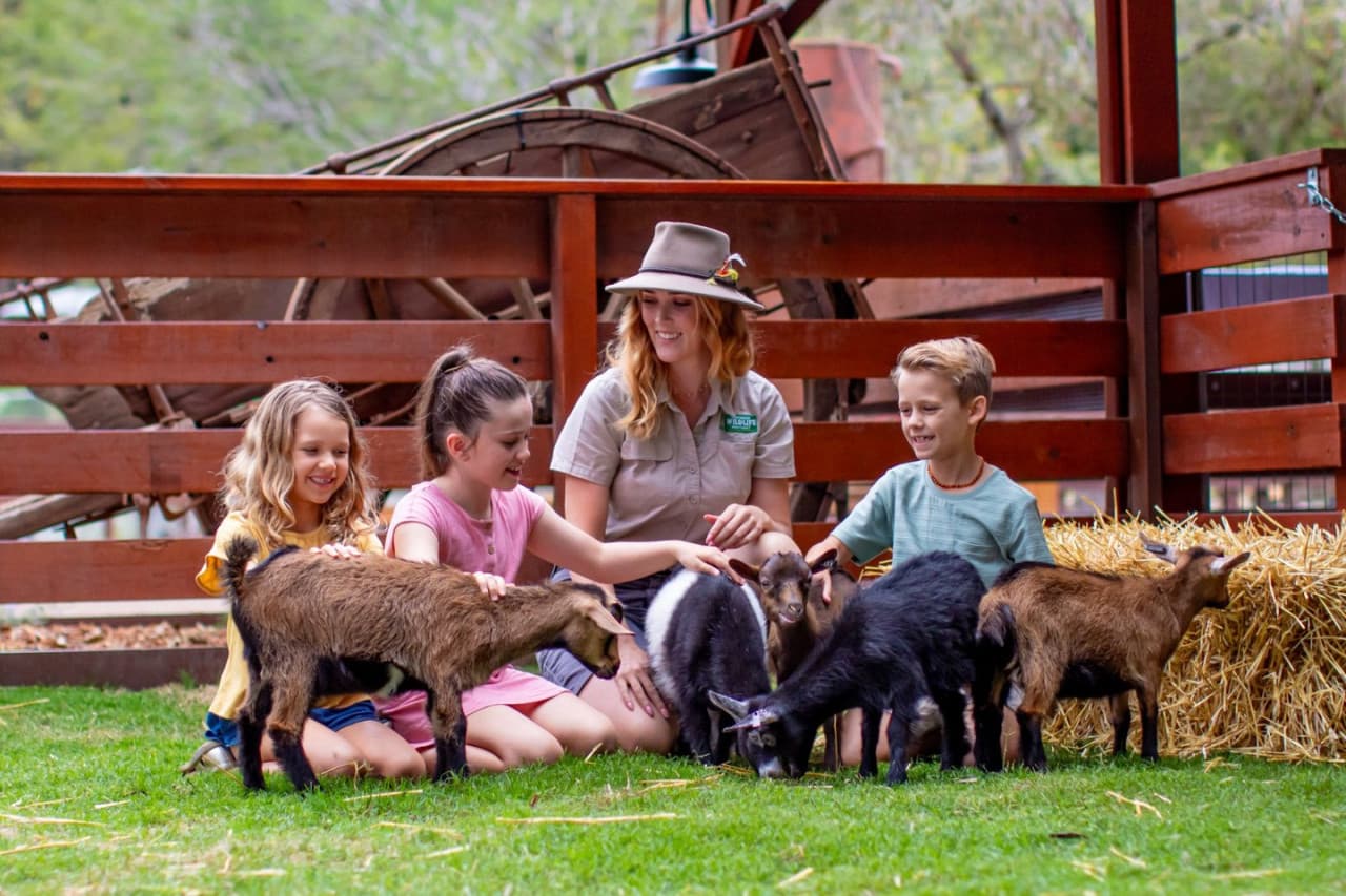 Entrada a Currumbin Wildlife Sanctuary - imagen 3