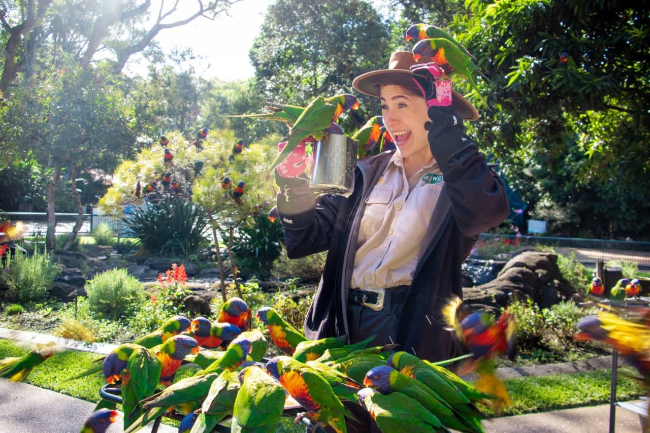 Entrada a Currumbin Wildlife Sanctuary - imagen 2