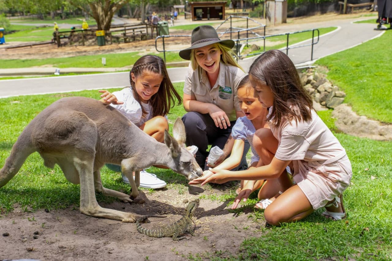 Entrada a Currumbin Wildlife Sanctuary - imagen 10