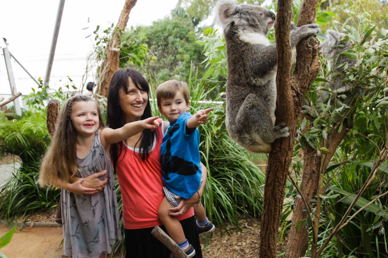 Entrada directa a WILD LIFE Sydney Zoo - imagen 2