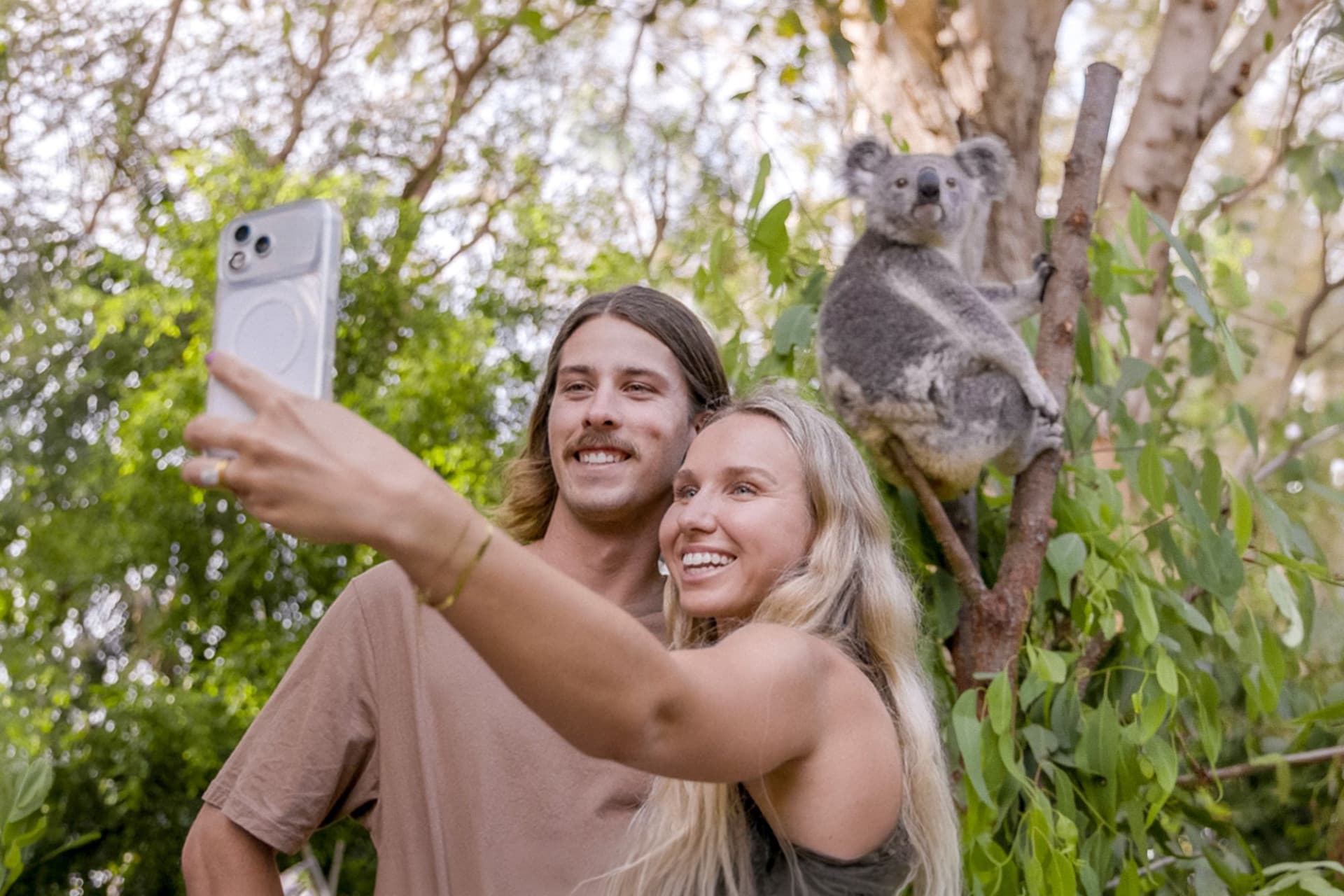 Currumbin Wildlife Sanctuary Gold Coast Ticket - تصویر 3