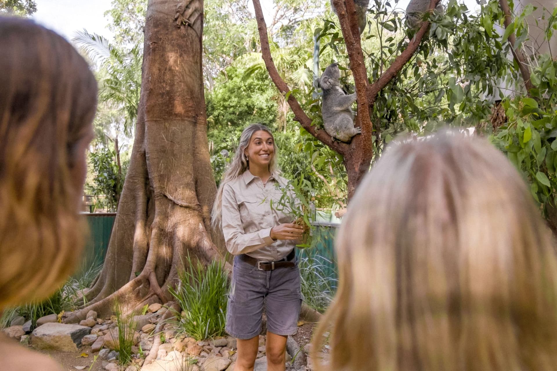 Currumbin Wildlife Sanctuary Gold Coast Ticket - تصویر 7