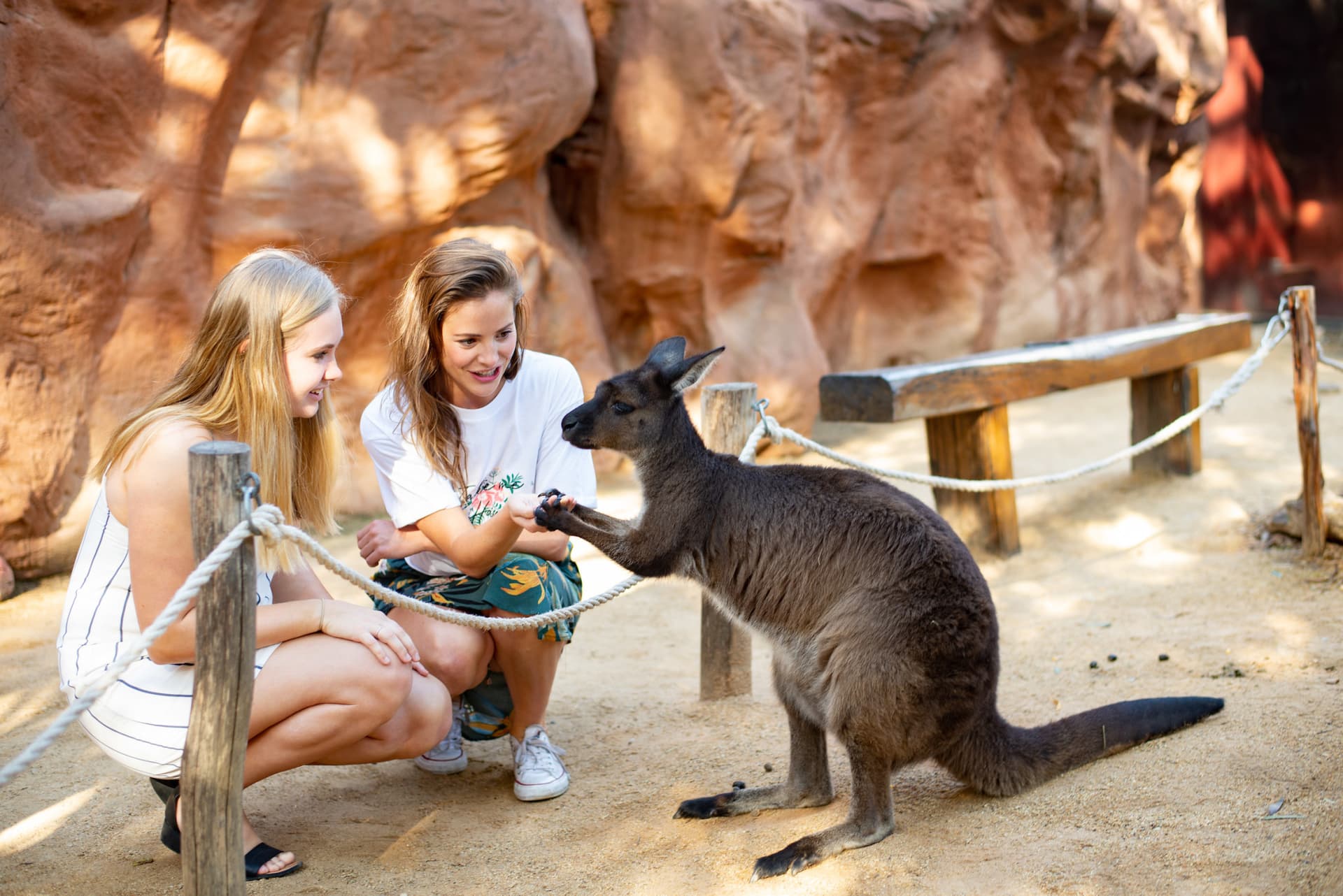 Entrada directa a WILD LIFE Sydney Zoo - imagen principal