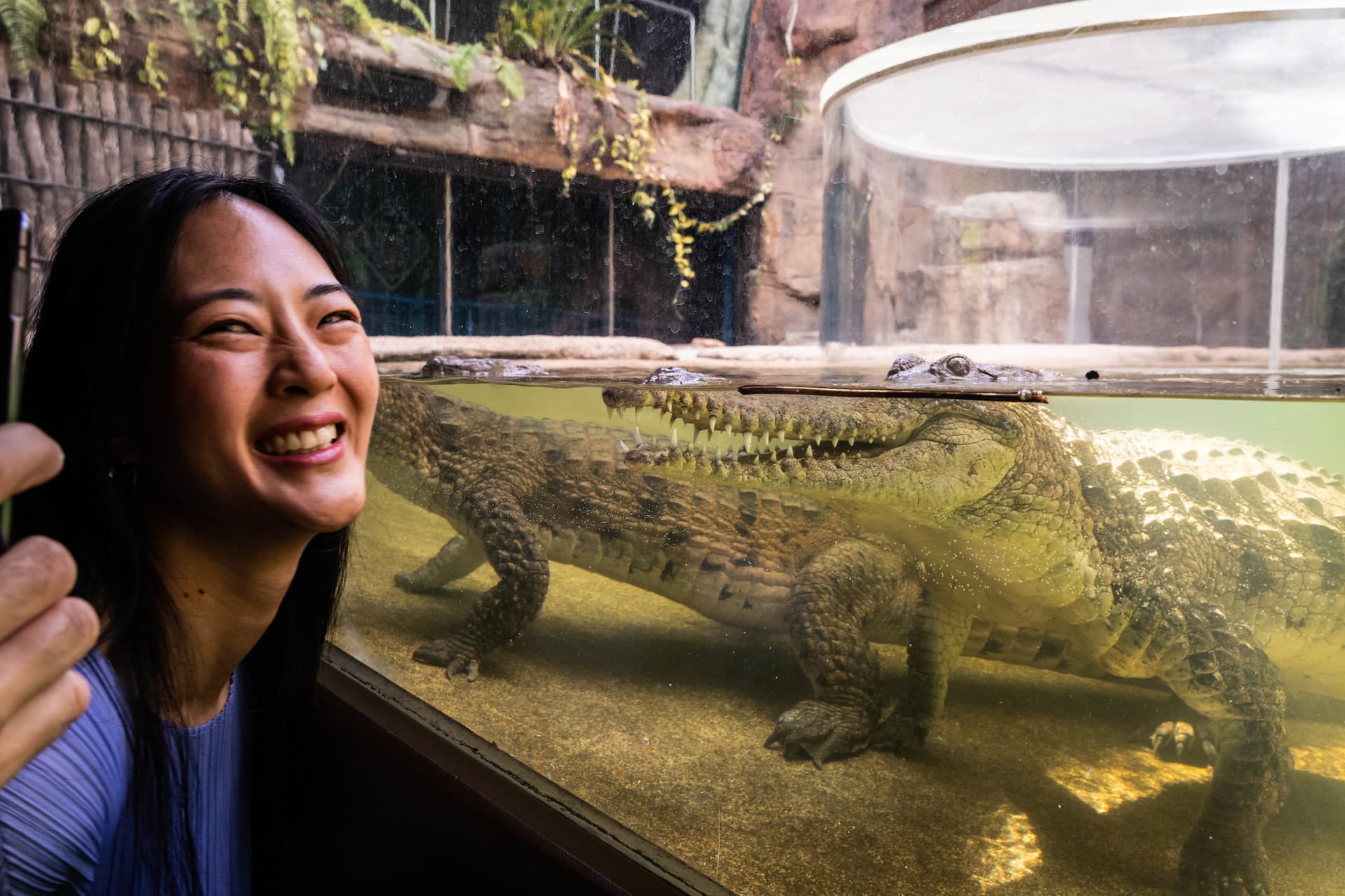 Entrada directa a WILD LIFE Sydney Zoo - imagen 3
