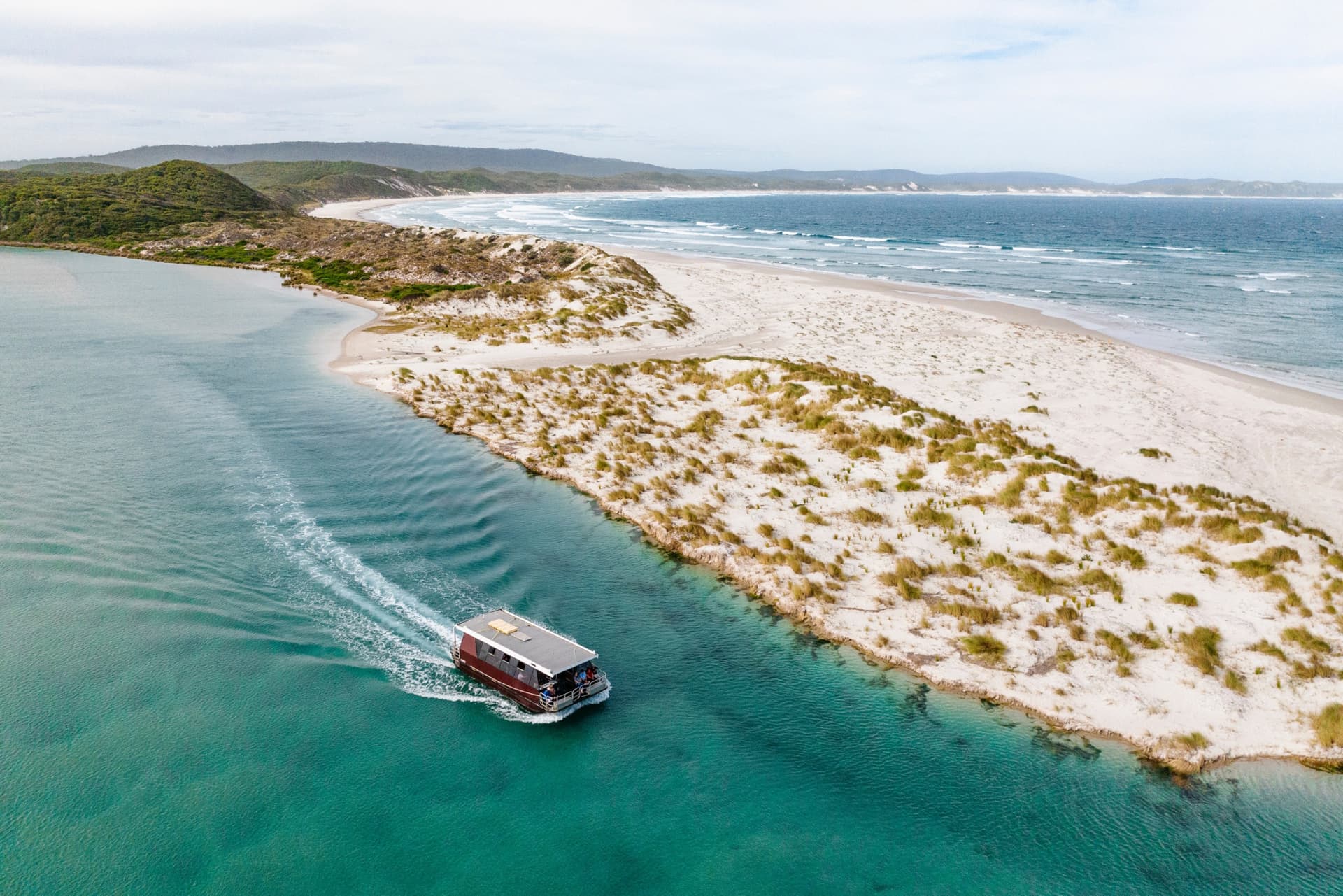 WOW Wilderness - EcoCruise - imagen principal